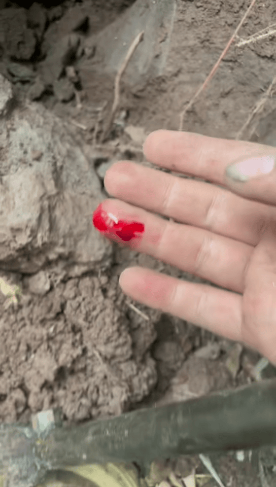 丹麦丙组联赛_男子被毒蛇咬伤拦车自救丹麦丙组联赛?当事人讲述:当时可能把手指直接伸向了蛇嘴里