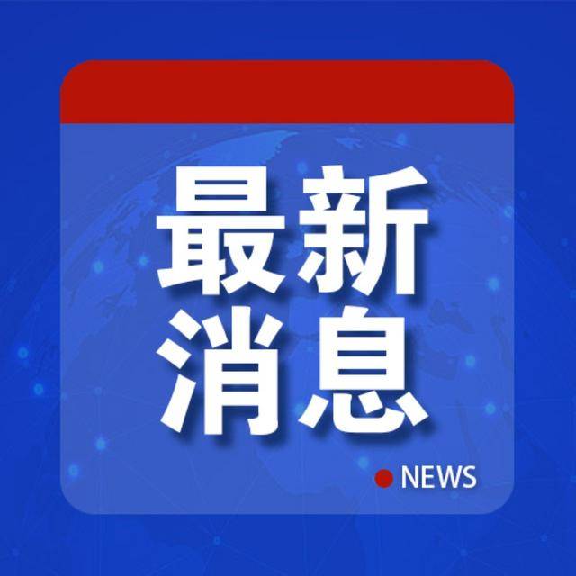 巴勒莫vs弗洛西诺尼_突发:“8名与以色列情报机构关联人员在伊被捕”